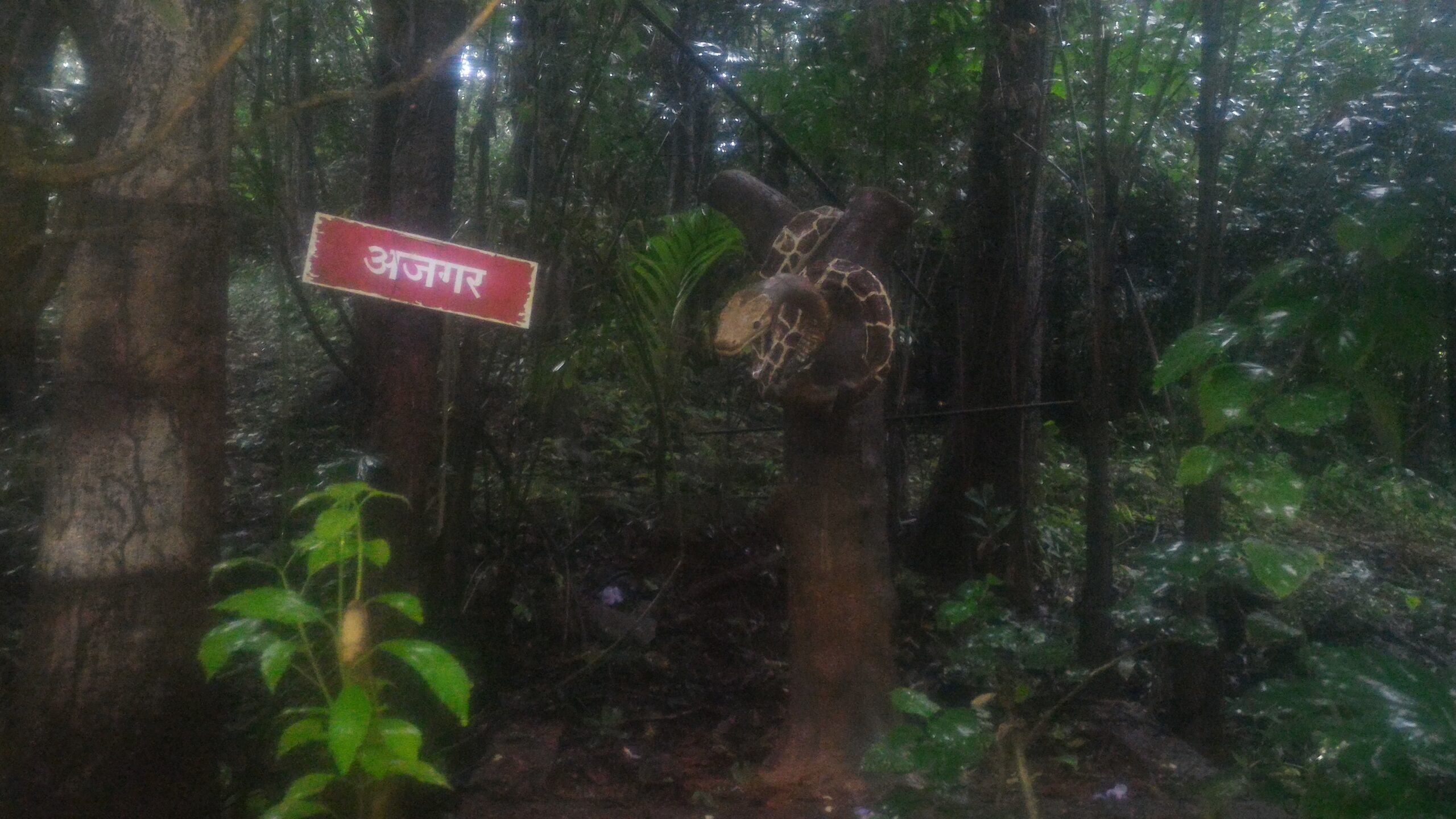 Ganpatipule Trip:Beaches Culture and Serenity