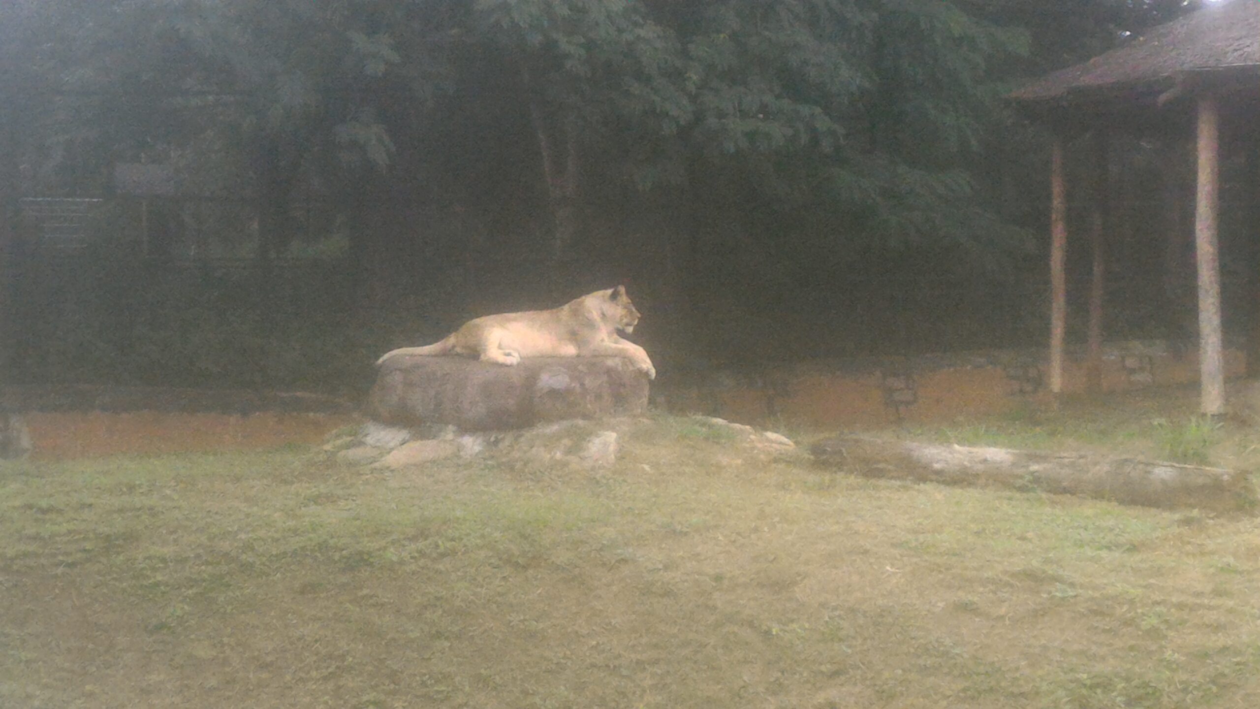 Mysore Coorg Package from Bangalore