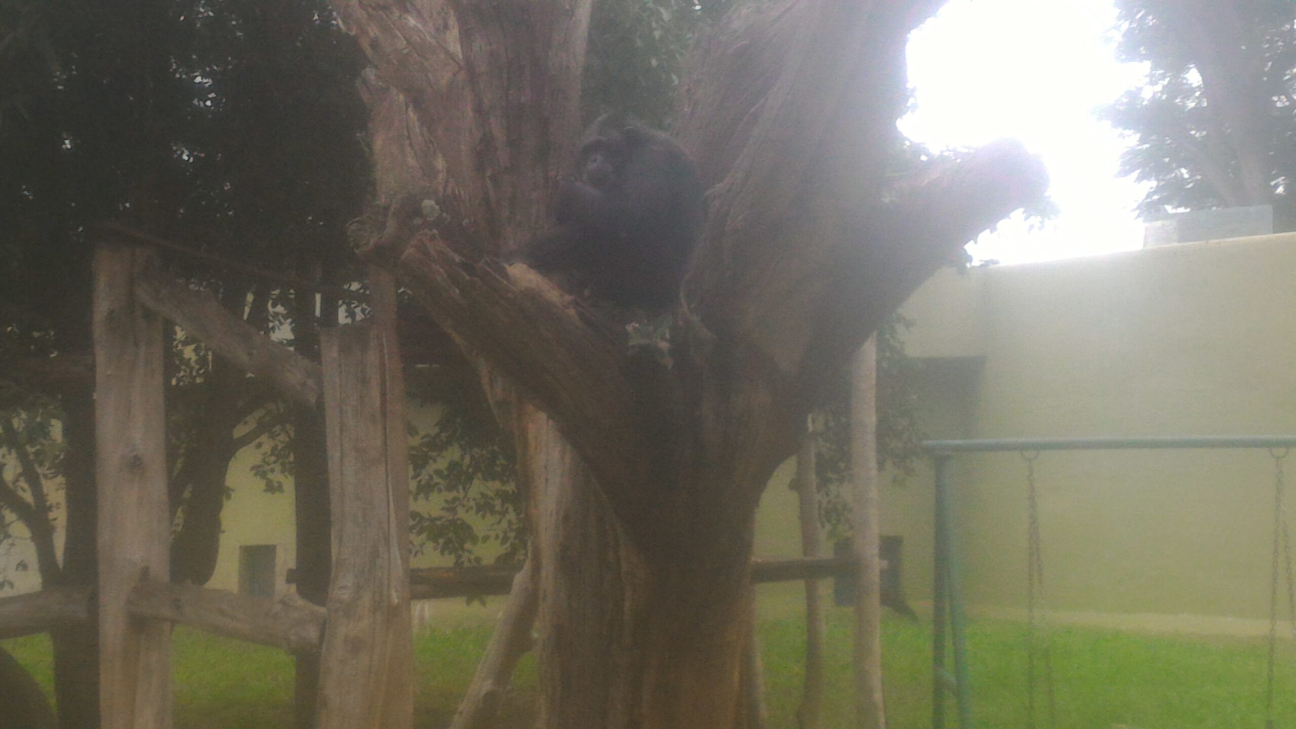 Mysore Coorg Package from Bangalore