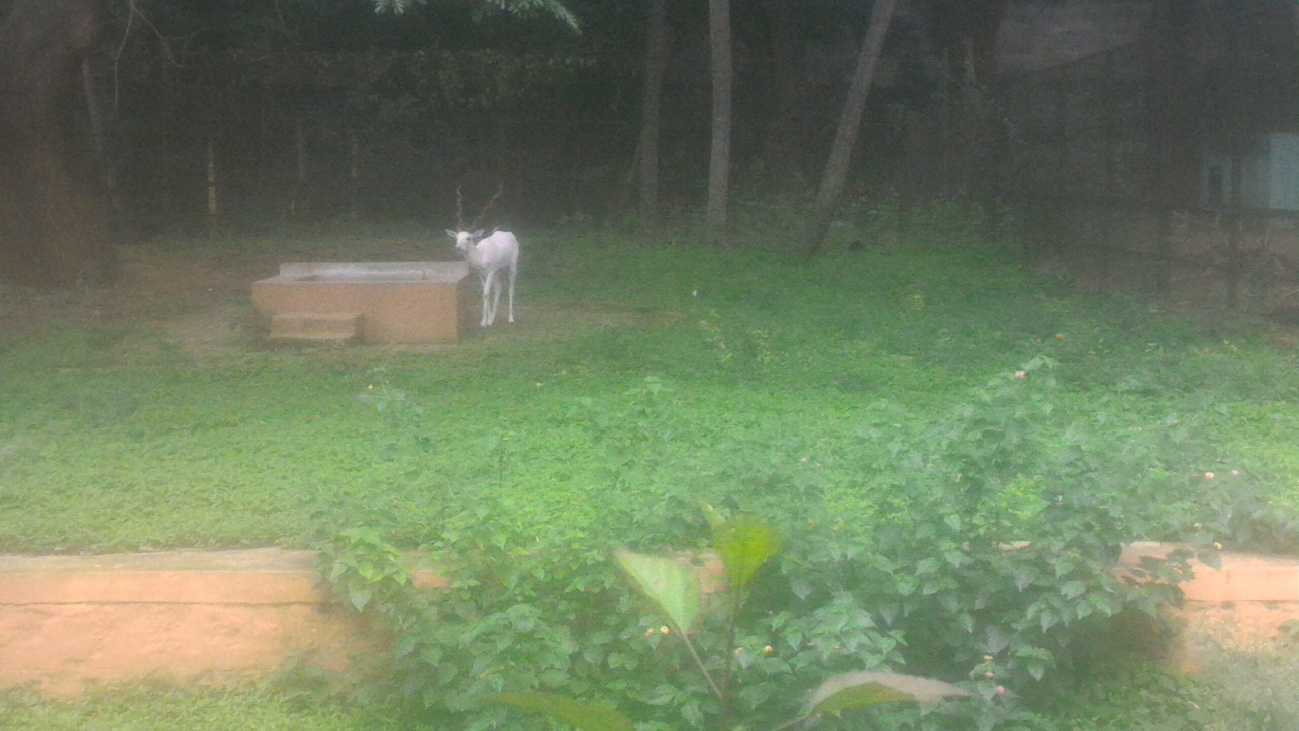 Mysore Coorg Package from Bangalore