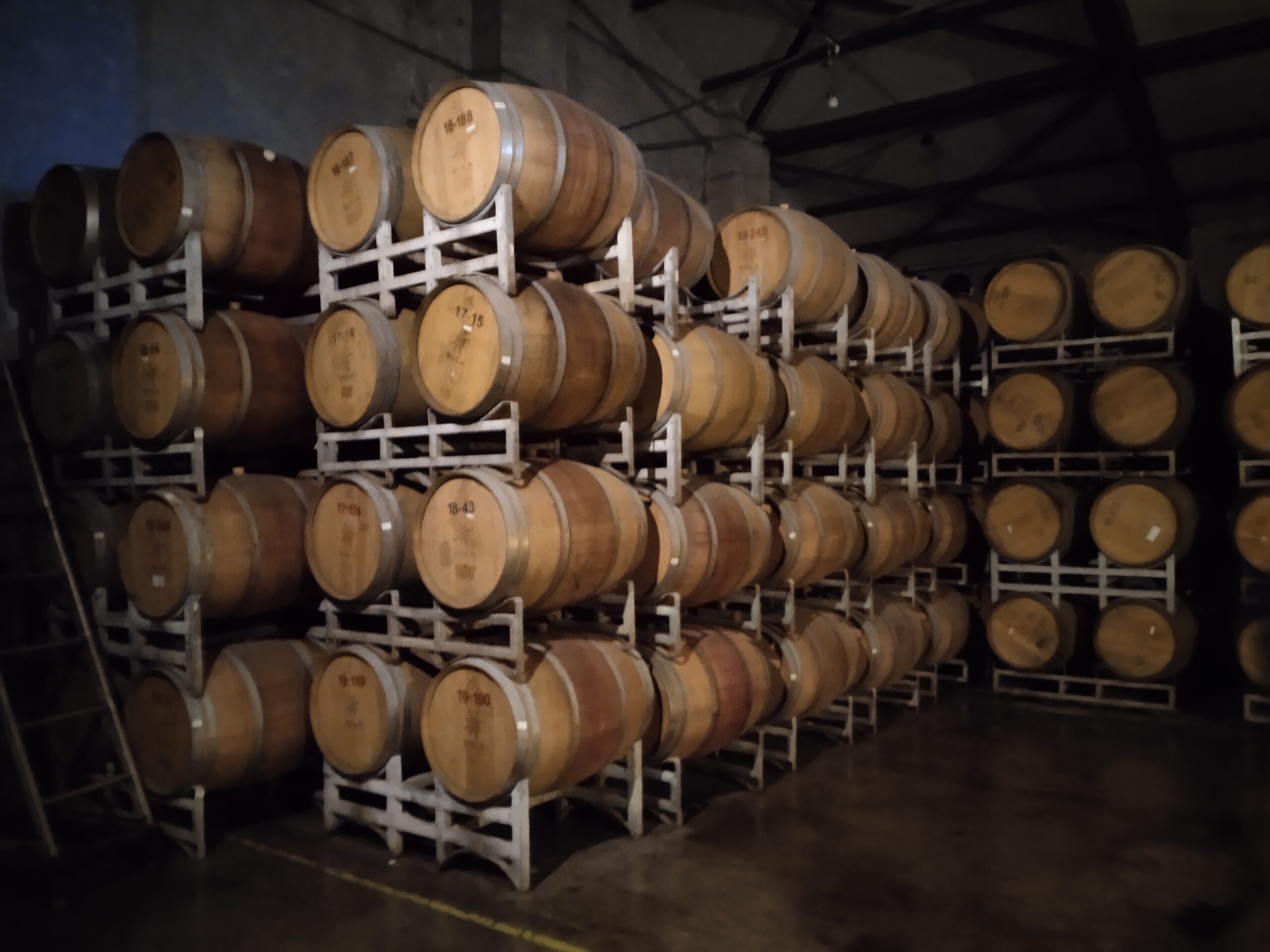 The Source at Sula Nashik