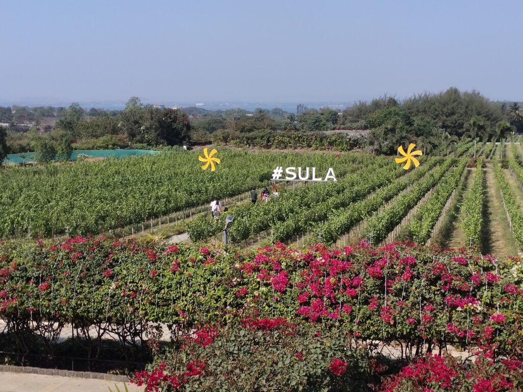 The Source at Sula Nashik review