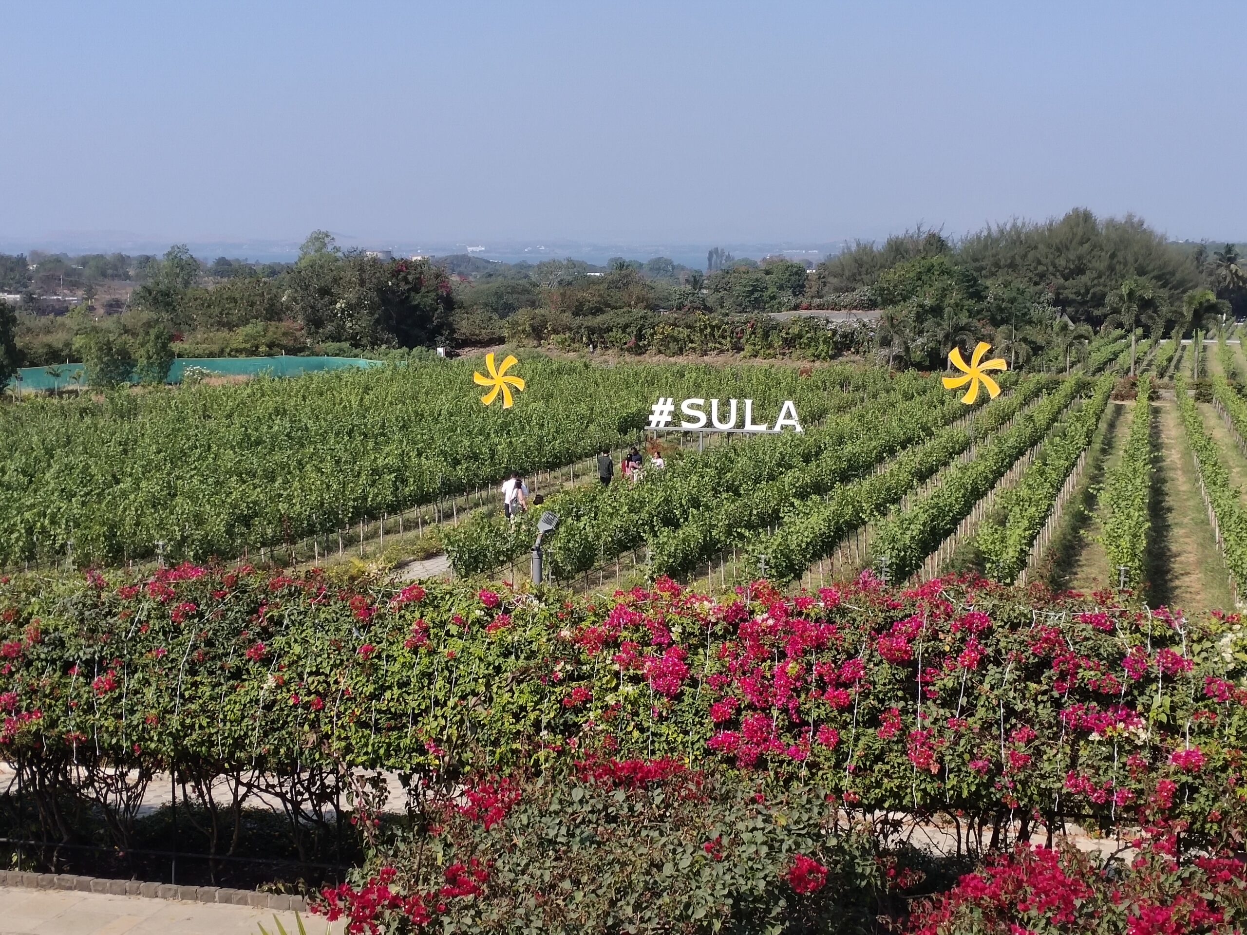 The Source at Sula Nashik review