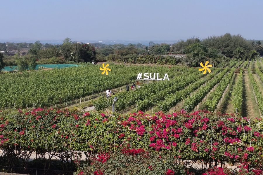 The Source at Sula Nashik review